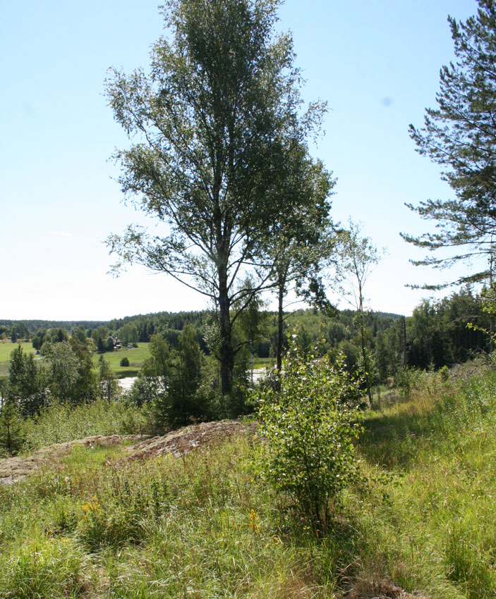 Utsikt från Sjöberg över Jälnan mot Kullungen